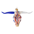 Load image into Gallery viewer, Patriotic Buffalo - American Decoration. Handmade Glass Christmas ornament.